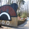 [ 10/09/2011; 14.00; ] 
	Odpoledne plné zábavy a soutěží - diskotéka, jízda na koních, skákací hrad, malování na obličej, 2 loutkové pohádky (Sváťovo dividlo).
	Přehlídka zájmových kroužků - Zoo Děčín (Teraristika, ZooKoužek, ZooKlub), DDM Březiny (biatlon, modelářství), Karate Klub Steklý.
	BK Děčín - hráči, ukázky, pozvánka na zápasy.
	Podíváme se také za nártouny filipínskými - čeká nás promítání filmu přímo z terénu [...]