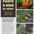 [ 03/08/2011; 9.30; ] Přijměte prosím i tento rok počátkem září pozvání na houbařskou exkurzi, tentokrát do okolí Ludvíkovic. Akce se koná v sobotu 3. září a bude doplněna o zajímavý výklad mykologa PaeDr. Jířího Rotha a poznávání hub. Nezapomeňte prosím košík a nožík:-). Více informací naleznete v pozvánce nebo na našich webových stránkách www.labskepiskovce.nature.cz.

Michala Zajícová