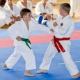 V minulých dnech se konaly hned dvě významné akce karate a to Národní pohár mládeže a národní pohár seniorů. Za Karatedó Steklý se na mládežnickém turnaji nejlépe vedlo Adéle Jiráskové, která získala zlatou medaili v kumite a stříbrnou v kata jednotlivkyň a stříbro též v kata týmu společně s Bárou Sadilovou a Šárkou Petržílkovou. Bronzovou medaili vybojoval v mladších žácích Richard [...]