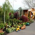 Adresa: Vítězství 216, 405 02 Děčín XXXI - Křešice
Tel.: +420 412517027
E-mail: hitflora@hitflora.cz
www stránky
Otevírací doba: po-pá … 07-17h, so … 07-13h
Zahradnické služby, zahradnictví
Firma HiT FLORA s.r.o. byla založena v roce 1992 Ing. Břetislavem Honsem a Rudolfem Tittelbachem. Firma se nachází v Děčíně, části zvané Křešice. Zahradnictví se rozkládá na ploše cca 8 ha, z toho 7 ha jsou vlastní okrasné dřeviny a [...]