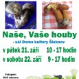 [ 21/09/2012; 10.00 až 17.00. ] Mykologický klub Šluknov vás zve na výstavu Naše, vaše houby.

Výstava se koná v pátek 21.září v čase 10:00 - 17:00 hodin a v sobotu 22.září v čase 9:00 - 17:00 hodin.

Výstava bude doplněna fotografiemi, lieraturou zabývající se houbami a na své si přijdou i nejmenší při doprovodných soutěžích o drobné sladkosti.

Zdroj: Mykologický klub Šluknov