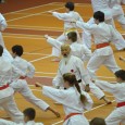 Jen velmi málo karatistických akcí má tak hluboce zakořeněnou tradici jako seminář se shihanem (mistr) Hideo Ochi (8. dan JKA). Na setkání a společné cvičení s hlavním evropským instruktorem přijelo o víkendu do Prahy opět velké množství karatistů snad ze všech klubů v republice a mezi nimi samozřejmě i žáci pana Jana Steklého z Karatedó [...]