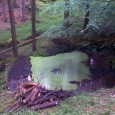 České Švýcarsko, 6. 3. 2013 – S blížícím se jarem začíná plnit svou funkci devět drobných vodních ploch, které Správa Národního parku České Švýcarsko obnovila na podzim loňského roku. Obnova tůní spočívala převážně ve zpevnění hrázek a vyčištění dna od usazenin. Díky své zadržovací schopnosti mohou tyto vodní plochy přispět ke zvýšení schopnosti krajiny zadržovat [...]