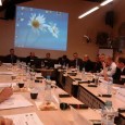 Město Benešov na jednání reprezentovali zastupitelé Filip Ušák a Ota Dračka a místostarosta Karel Vrbický.
“Z výsledku jednání mám smíšené pocity. Věci se sunou do pohybu, nicméně poměrně pomalu. Jsem rád, že většinově převládá názor, že kopeme společně za “jeden mančaft” a že zájmy např. Nového Boru nejsou rozdílné než zájmy Benešova, popř. Jílového. V souvislosti [...]