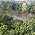 Jedním z mnoha míst, které se musí vypořádat s následky povodně je také zámecký park na Mariánské louce.
Mariánská louka patří mezi lokality, které jsou při vysokém stavu Labe tradičně zaplaveny. Nebýt toho vypadal by dnes Děčín zcela jinak. Ale nemusíme ani chodit příliš daleko do historie – následky katastrofální povodně z roku 2002, která zničila [...]